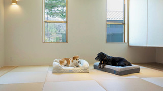 B type 天然温泉, サウナ,ドッグラン[ペット可]（6名定員）