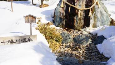 観光スポット / 8