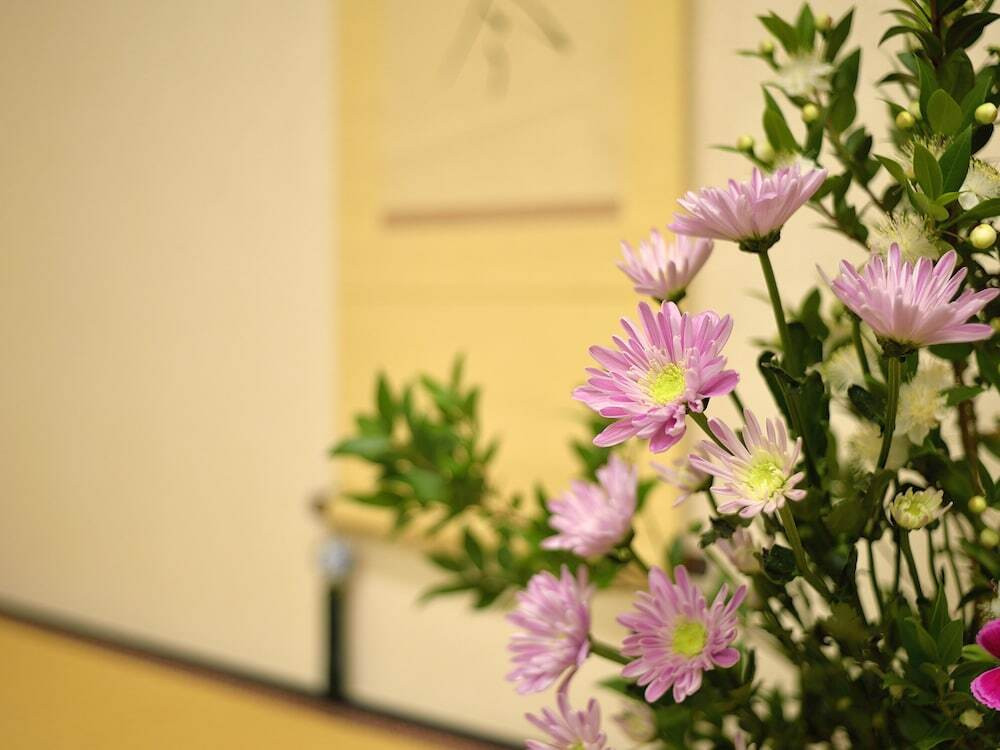 客室イメージ②