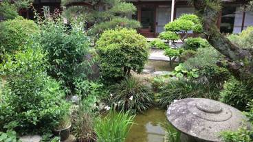 施設からの眺望 / 29