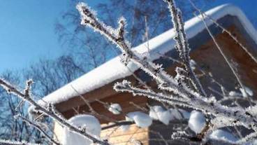 施設の敷地 / 12