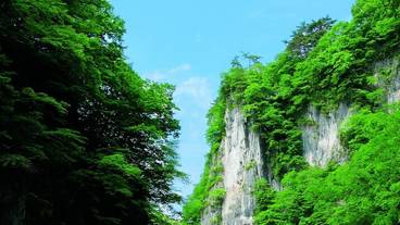 観光スポット / 1