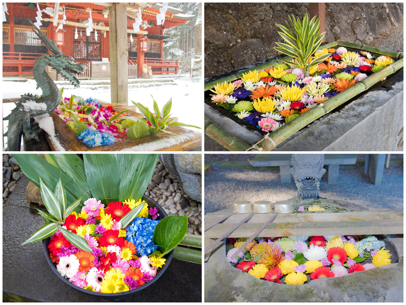 写真を撮りたくなる♪“花装飾”めぐり3065087