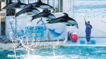 観光スポット / 6