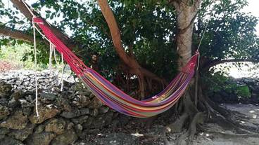 施設の敷地 / 20