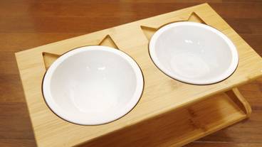 ペット用設備・サービス / 1