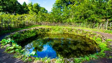 忍野八海 銚子池 / 7