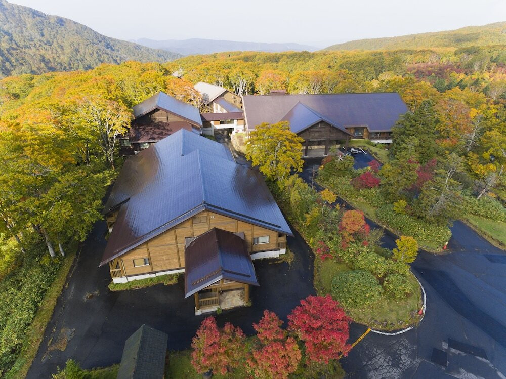 大自然に囲まれた日本最大級の洋風木造建築ホテル3388457