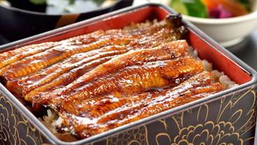 食事・飲み物 / 1