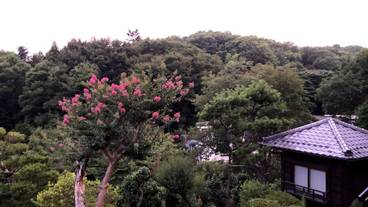 施設からの眺望 / 17