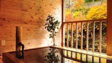 飛龍(テラス風呂) 秋 / 5