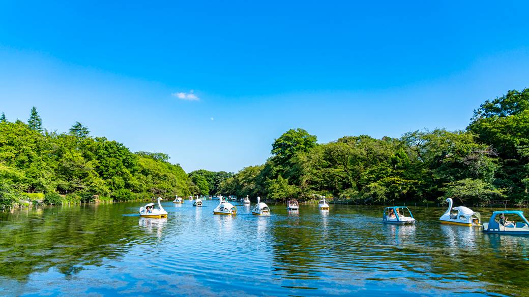 井の頭恩賜公園 スワンボート / 2