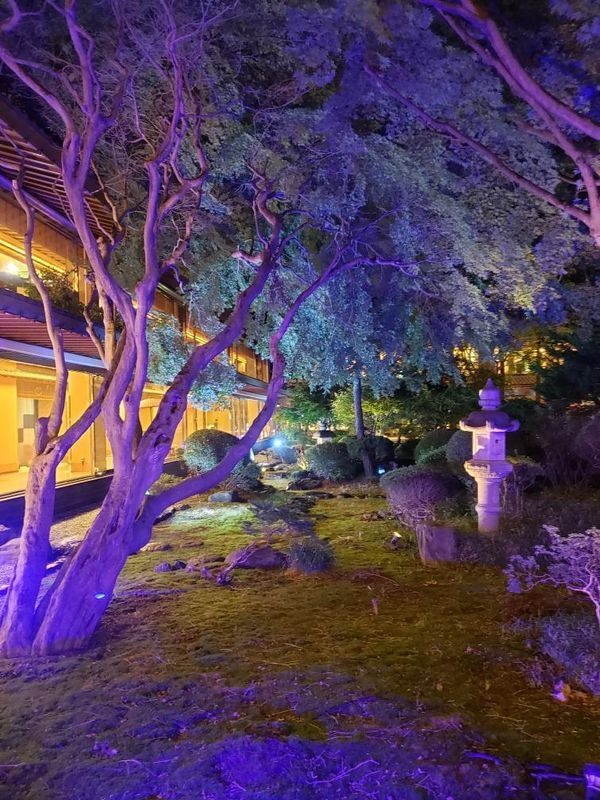 _aisukuri.muさんの写真 / 1