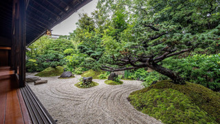 Suite "Matsukaze", Non-smoking