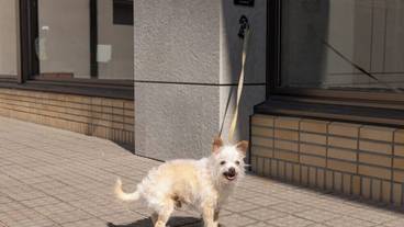 ペット用設備・サービス / 5