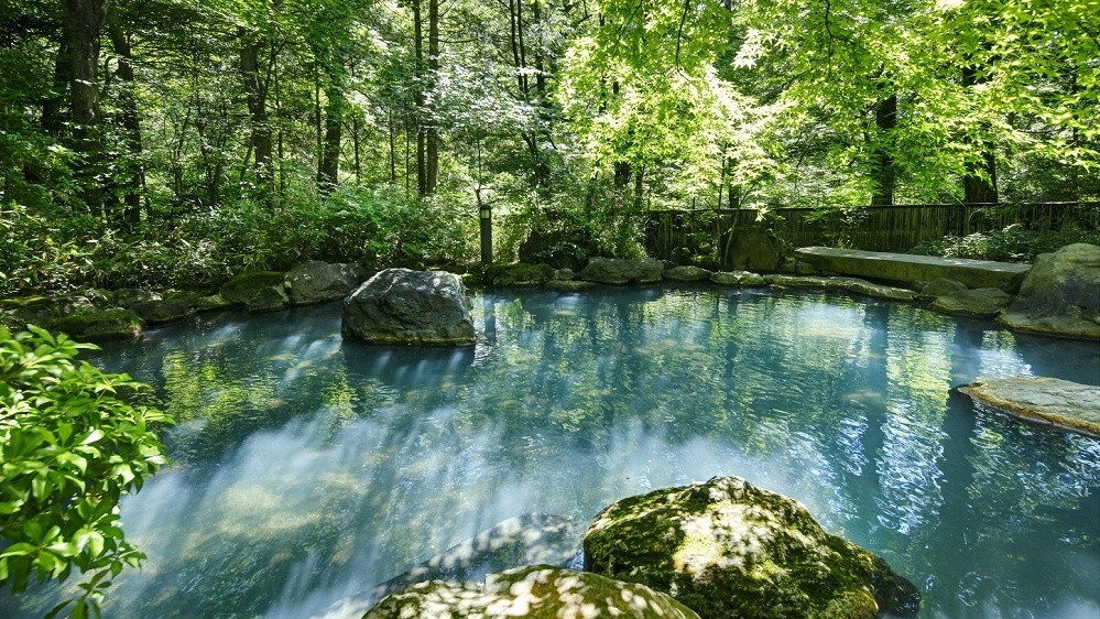 純和風の日本旅館でお祝い3931565