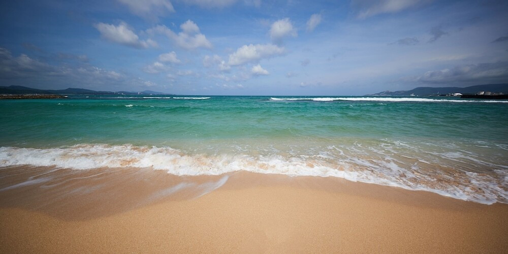 ビーチ / オーシャン ビュー