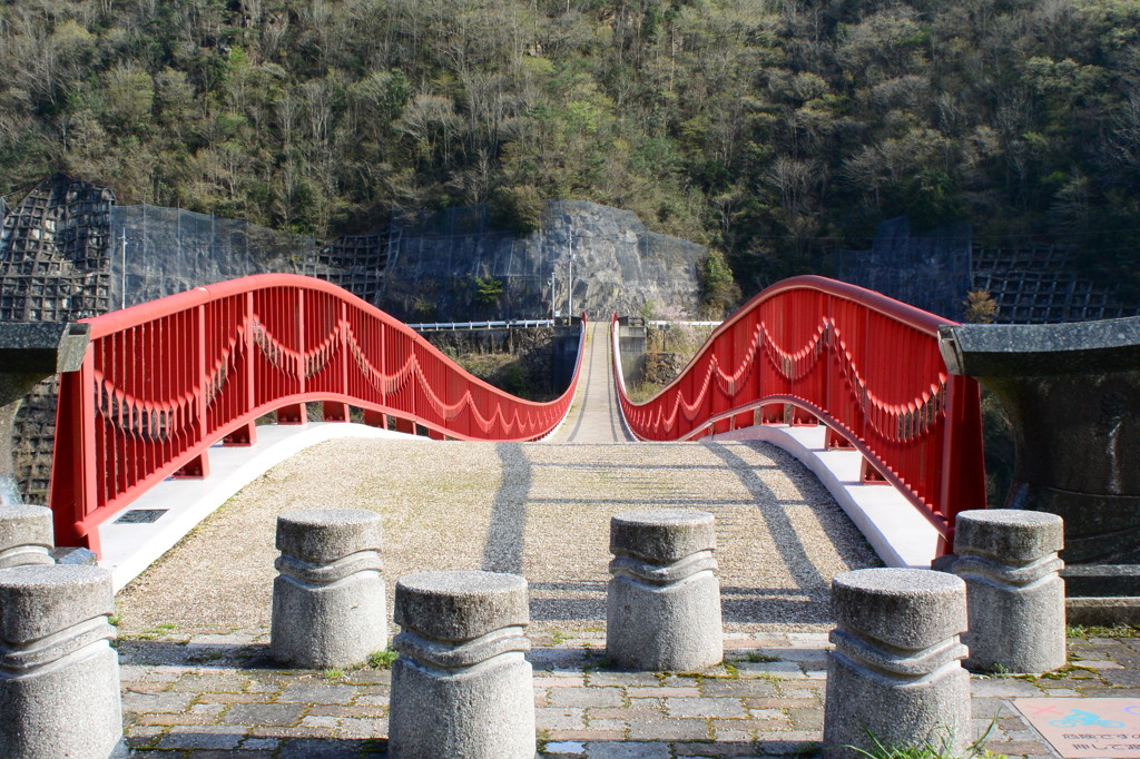 【広島県】ギネス認定の世界一の橋!世羅の「夢吊橋」574133