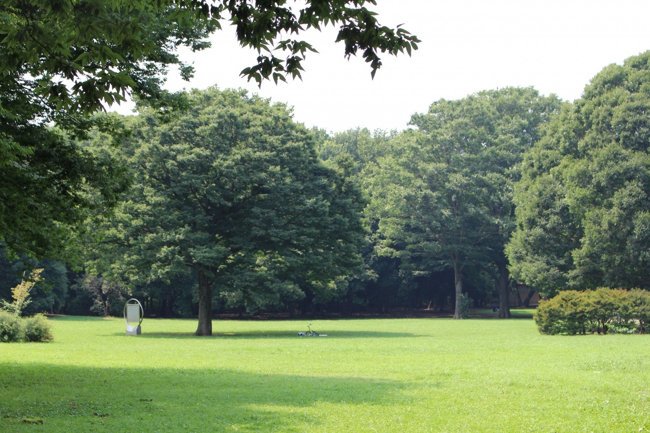 6. 小金井公園1153065