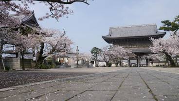 観光スポット / 9