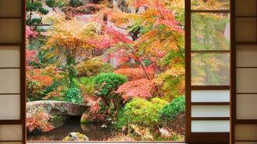 湯河原温泉 青巒荘（せいらんそう）（ユガワラオンセン　セイランソウ） / 3