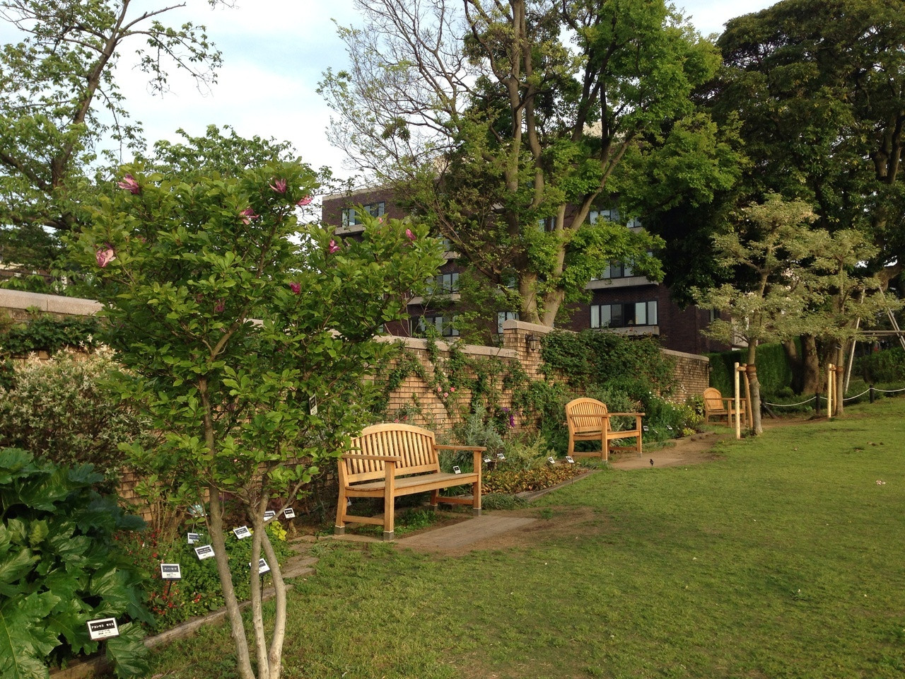 7.アメリカ山公園2996930