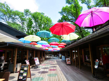 Karuizawa is full of fun, from gourmet food to nature and shopping. 3570602