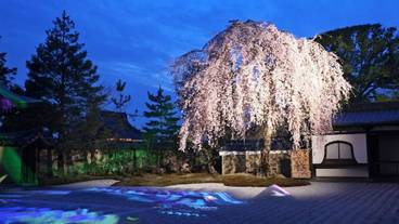 観光スポット / 11