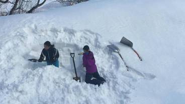 スノー スポーツとスキー / 5