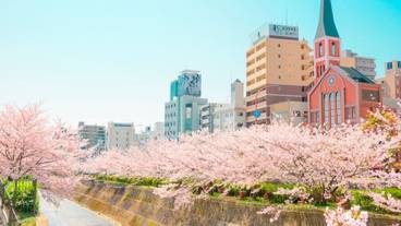 シティ ビュー / 16