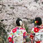 京都へ花見女子旅するなら♡桜の名所近くにあるホテル・宿5選