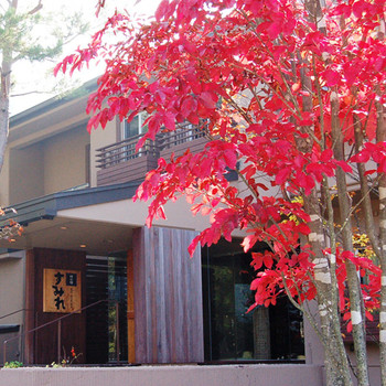 二人だけの穏やかな時間を♪3685543