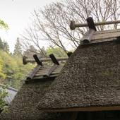黒川温泉 やまびこ旅館(熊本県 旅館) / 4