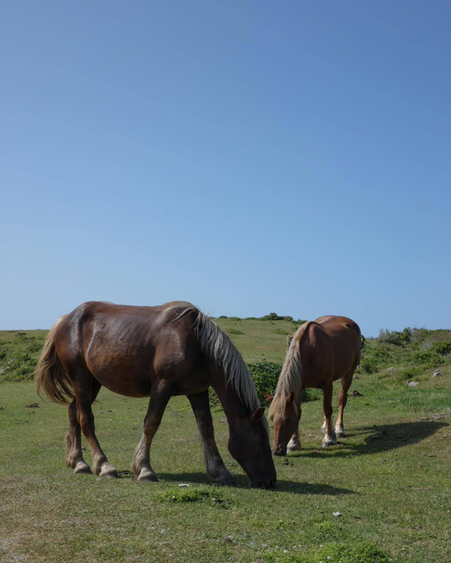 omoide_mmmさんの写真 / 3