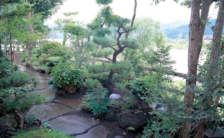 河口湖畔の遊歩道 / 3