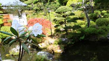 施設からの眺望 / 37