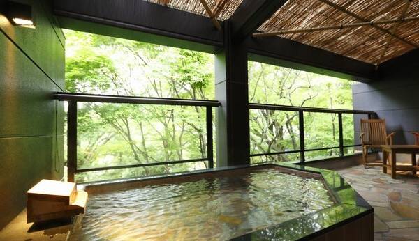 箱根 強羅 月の泉（神奈川県 旅館） / 1