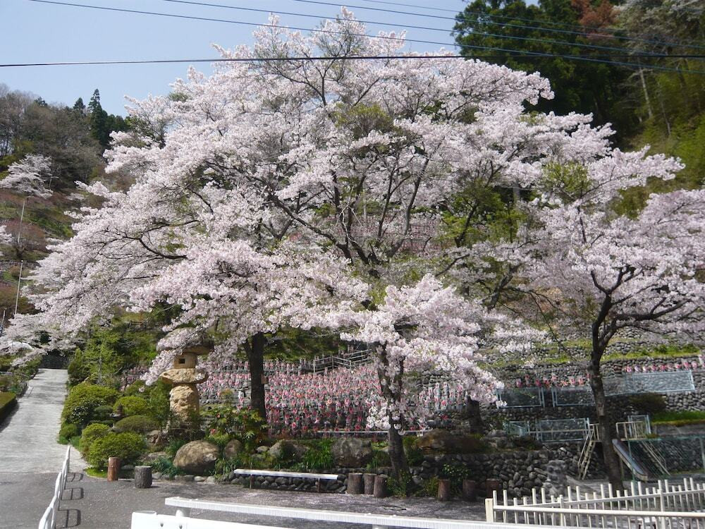 施設からの眺望