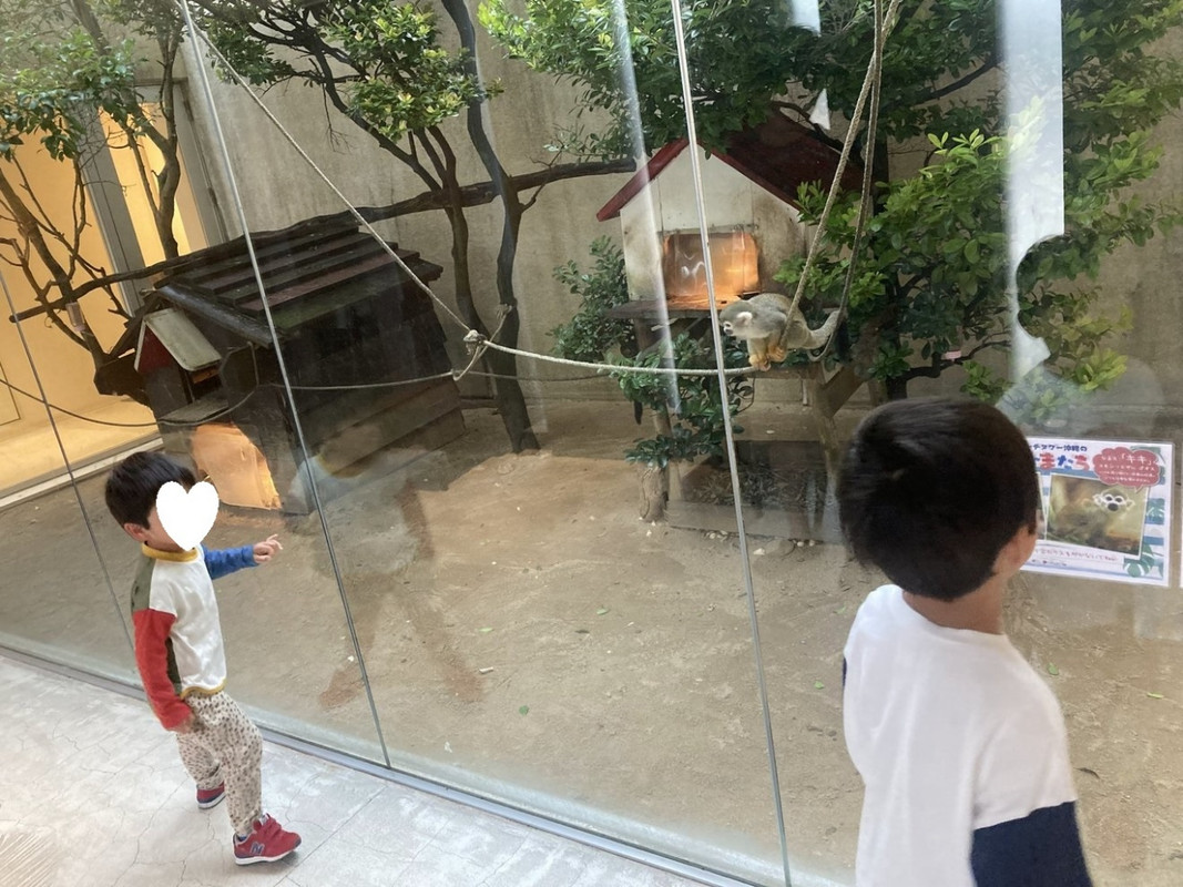 かわいいおさるさんがいました