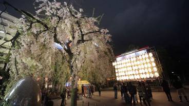 観光スポット / 10