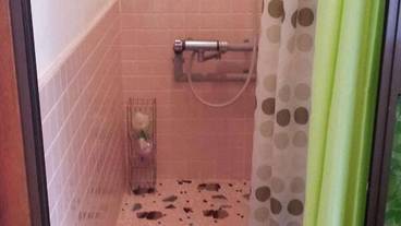 バスルーム / 14