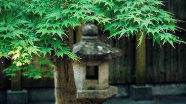 テラス / パティオ / 30