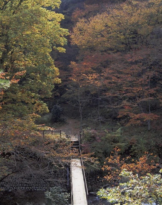 庭園