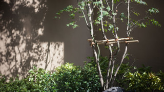 コンフォートツインルーム (庭付き) 禁煙