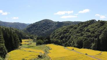 施設の敷地 / 25