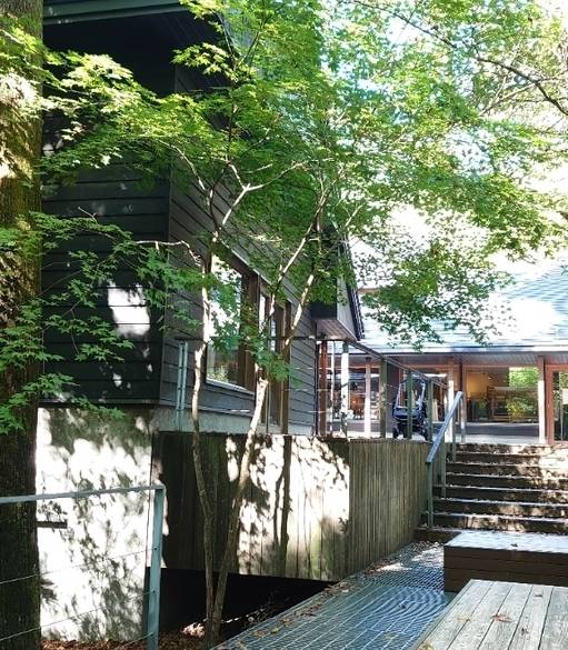 「軽井沢星野エリア」で
ランチや買い物を満喫 / 5