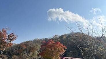 観光スポット / 16