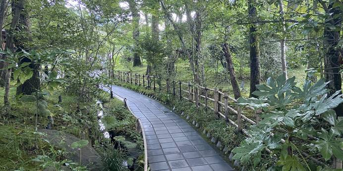 由布院 玉の湯（大分県 旅館） / 1