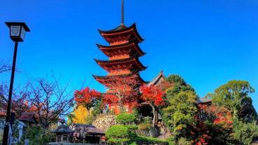 観光スポット / 5