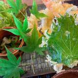 シーフロントダイニング 新豊（シーフロントダイニングシントヨ）